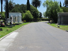 Enlarge photo 137