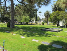 Enlarge photo 140