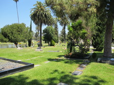 Enlarge photo 142