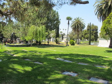 Enlarge photo 143