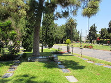 Enlarge photo 144