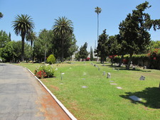 Enlarge photo 145