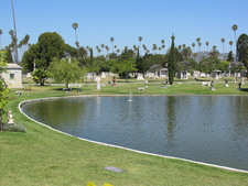 Enlarge photo 150
