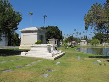 Enlarge photo 153