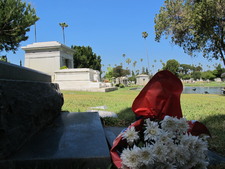 Enlarge photo 156