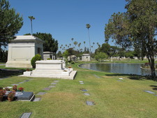 Enlarge photo 157