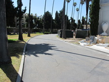 Enlarge photo 160