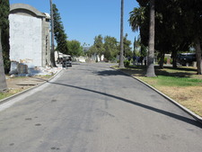 Enlarge photo 161