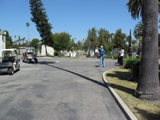 Enlarge photo 162