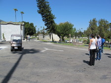 Enlarge photo 163