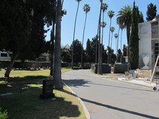Enlarge photo 164