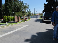 Enlarge photo 165