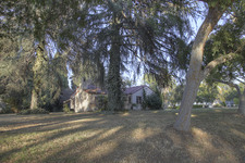 Enlarge photo 93