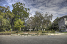 Enlarge photo 106