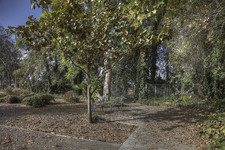 Enlarge photo 112