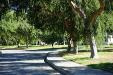 Enlarge photo 31