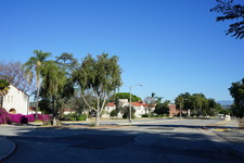 Enlarge photo 50