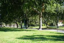 Enlarge photo 28
