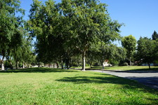 Enlarge photo 29