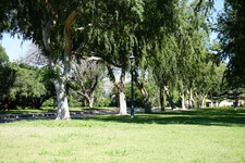 Enlarge photo 30