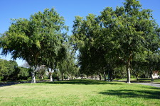 Enlarge photo 32