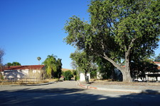 Enlarge photo 36