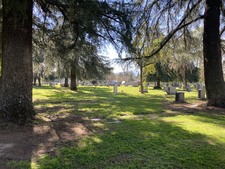 Enlarge photo 32