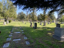 Enlarge photo 33