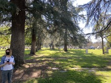 Enlarge photo 34