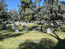 Enlarge photo 126