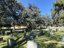 Enlarge photo 128