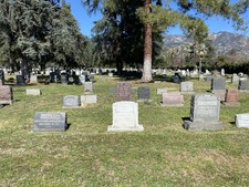 Enlarge photo 131