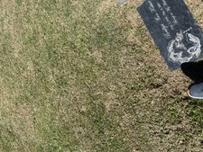 Enlarge photo 132