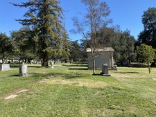 Enlarge photo 137