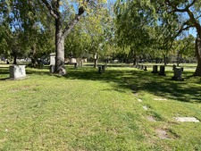 Enlarge photo 140