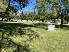 Enlarge photo 141