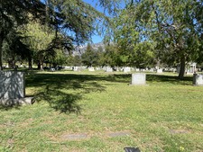 Enlarge photo 144