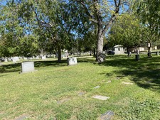 Enlarge photo 145