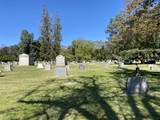 Enlarge photo 151
