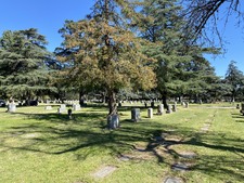 Enlarge photo 152