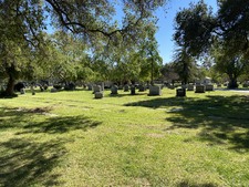Enlarge photo 153