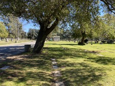 Enlarge photo 154