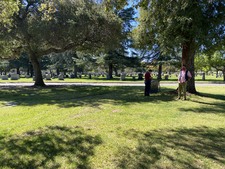 Enlarge photo 155