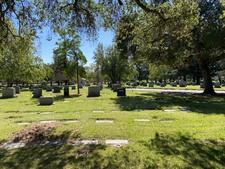 Enlarge photo 156