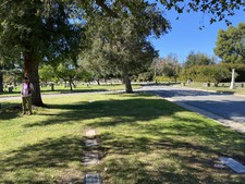 Enlarge photo 157