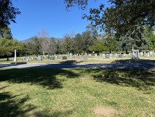 Enlarge photo 158
