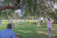Enlarge photo 103