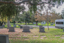 Enlarge photo 106