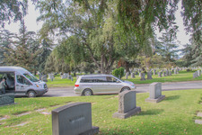 Enlarge photo 107