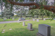 Enlarge photo 108